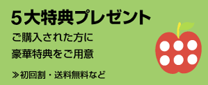 5大特典プレゼント
